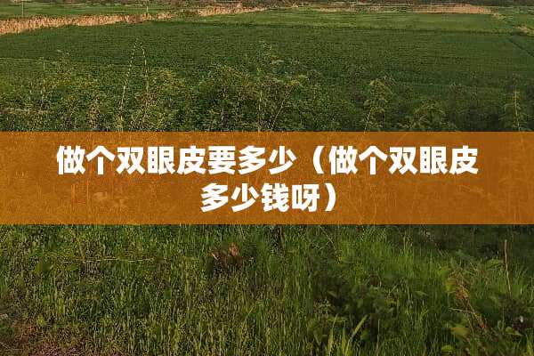 做个双眼皮要多少（做个双眼皮多少钱呀）