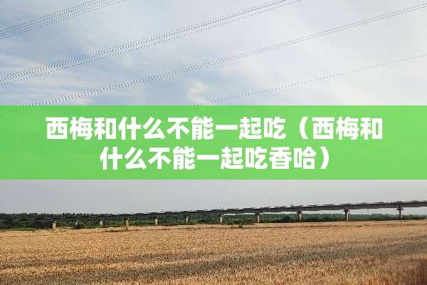 西梅和什么不能一起吃（西梅和什么不能一起吃香哈）