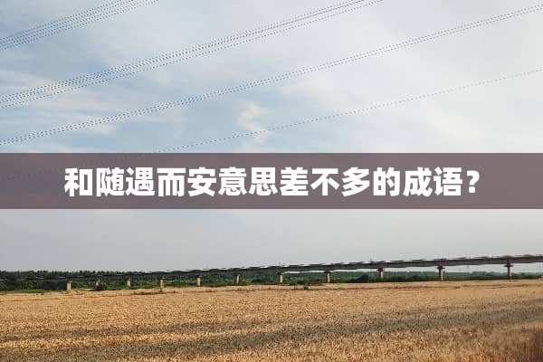 和随遇而安意思差不多的成语？