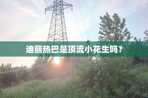 迪丽热巴是顶流小花生吗？