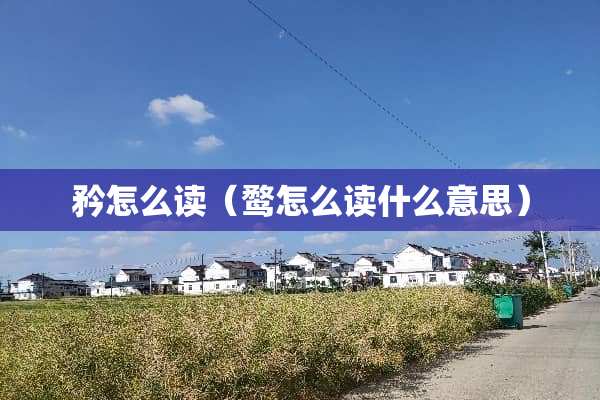 矜怎么读（鹜怎么读什么意思）