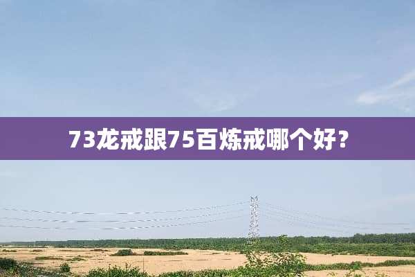 73龙戒跟75百炼戒哪个好？