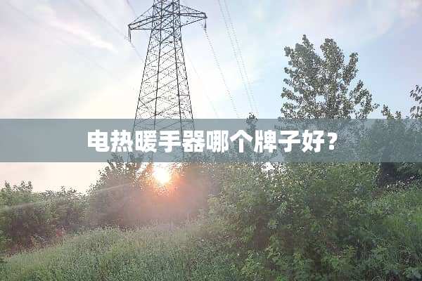 电热暖手器哪个牌子好？
