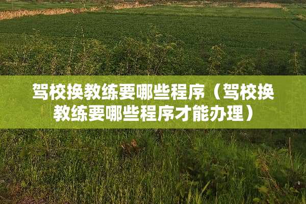 驾校换教练要哪些程序（驾校换教练要哪些程序才能办理）