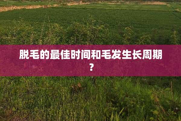 脱毛的最佳时间和毛发生长周期？