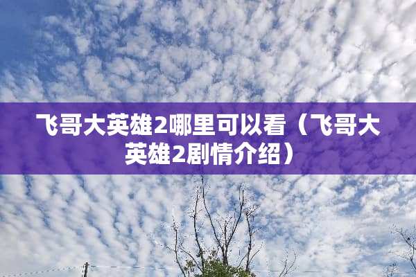 飞哥大英雄2哪里可以看（飞哥大英雄2剧情介绍）