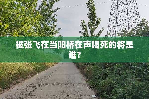被张飞在当阳桥在声喝死的将是谁？