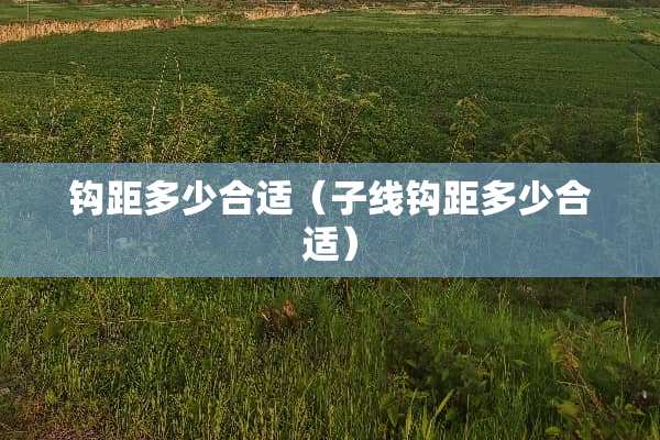 钩距多少合适（子线钩距多少合适）