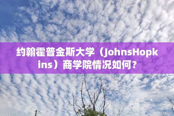 约翰霍普金斯大学（JohnsHopkins）商学院情况如何？