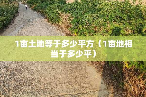 1亩土地等于多少平方（1亩地相当于多少平）