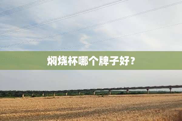 焖烧杯哪个牌子好？