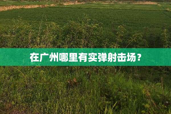 在广州哪里有实弹射击场？