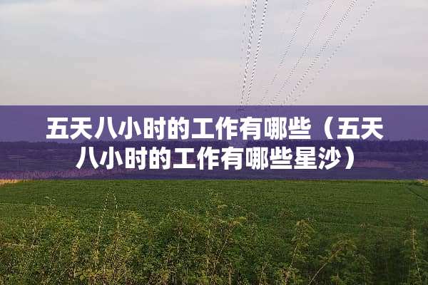 五天八小时的工作有哪些（五天八小时的工作有哪些星沙）