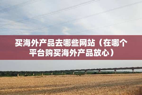 买海外产品去哪些网站（在哪个平台购买海外产品放心）