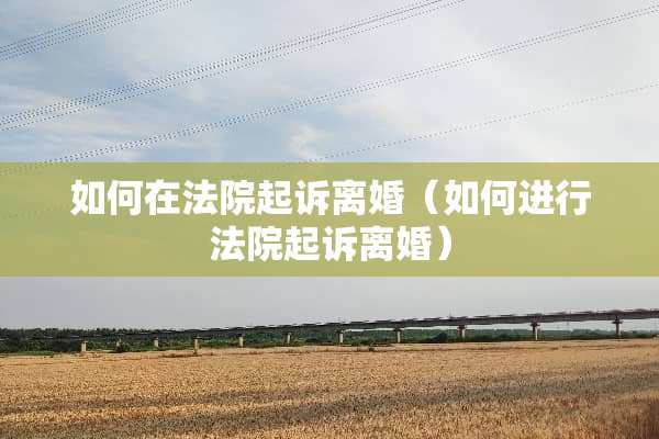 如何在法院起诉**（如何进行法院起诉**）