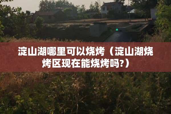 淀山湖哪里可以烧烤（淀山湖烧烤区现在能烧烤吗?）