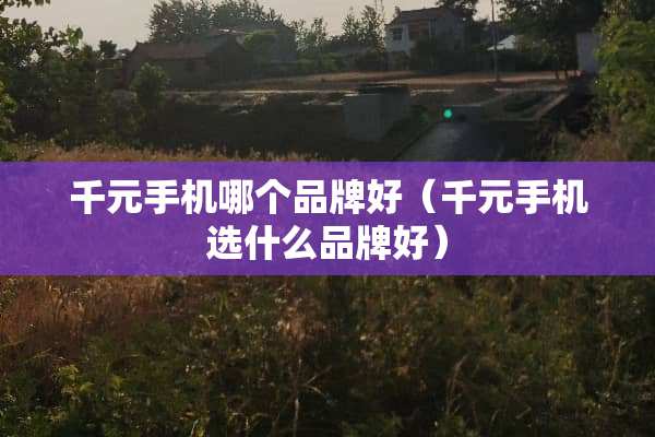 千元手机哪个品牌好（千元手机选什么品牌好）