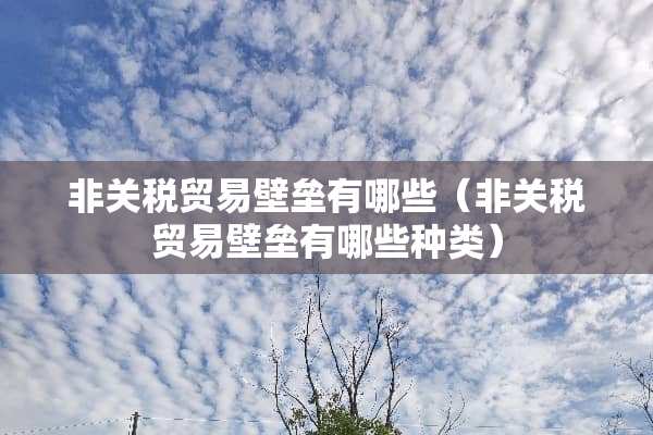 非关税贸易壁垒有哪些（非关税贸易壁垒有哪些种类）