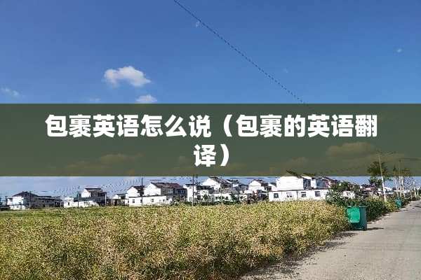 包裹英语怎么说（包裹的英语翻译）