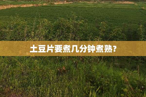 土豆片要煮几分钟煮熟？