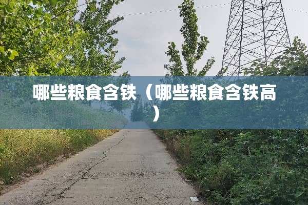 哪些粮食含铁（哪些粮食含铁高）