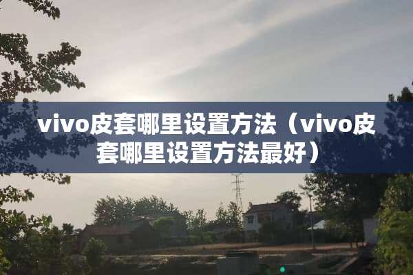 vivo皮套哪里设置方法（vivo皮套哪里设置方法最好）