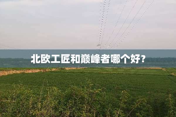 北欧工匠和巅峰者哪个好？