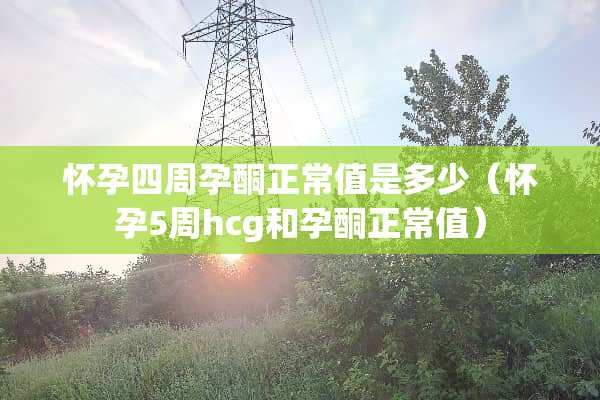 怀孕四周孕酮正常值是多少（怀孕5周hcg和孕酮正常值）