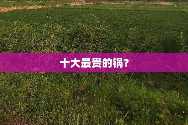 十大最贵的锅？