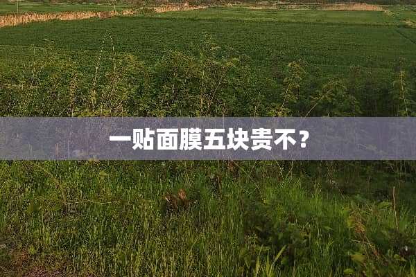 一贴面膜五块贵不？