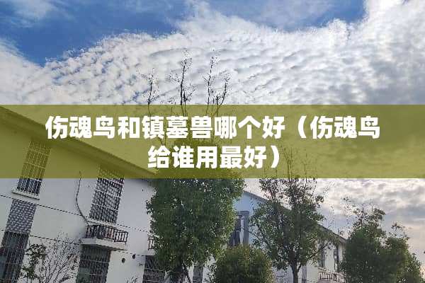 伤魂鸟和镇墓兽哪个好（伤魂鸟给谁用最好）