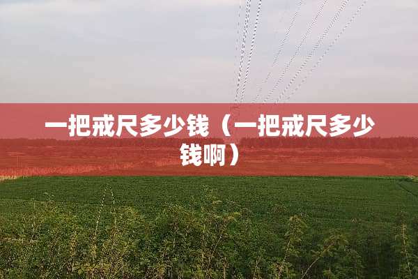 一把戒尺多少钱（一把戒尺多少钱啊）