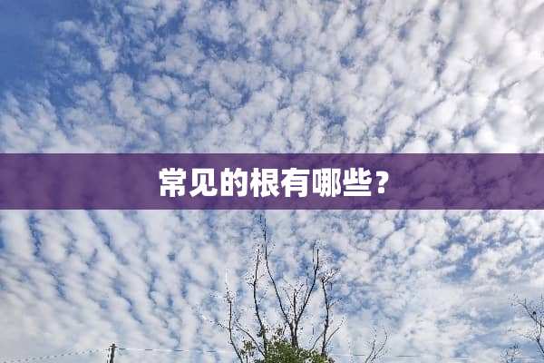 常见的根有哪些？
