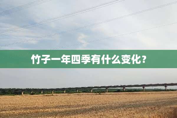 竹子一年四季有什么变化？
