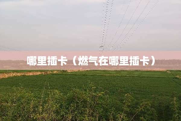 哪里插卡（燃气在哪里插卡）