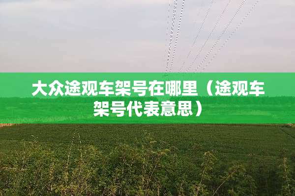 大众途观车架号在哪里（途观车架号代表意思）