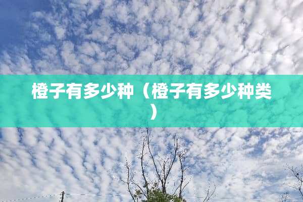 橙子有多少种（橙子有多少种类）