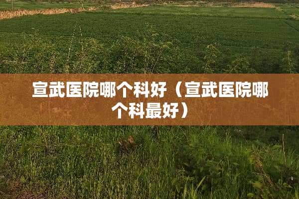 宣武医院哪个科好（宣武医院哪个科最好）