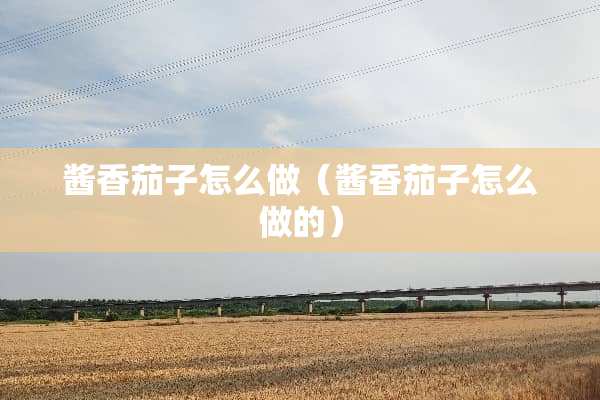 酱香茄子怎么做（酱香茄子怎么做的）