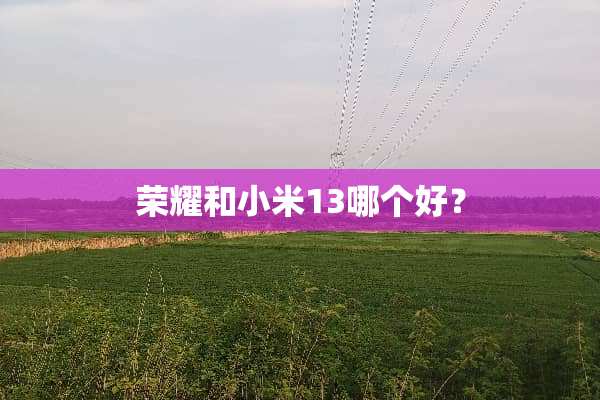 荣耀和小米13哪个好？