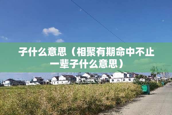 子什么意思（相聚有期命中不止一辈子什么意思）