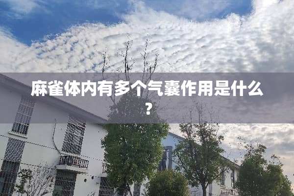 麻雀体内有多个气囊作用是什么？