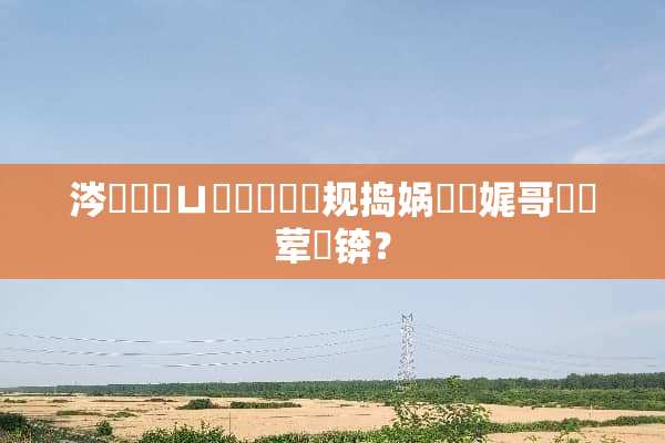 涔岄瞾鏈ㄩ綈鐩涜礉鐗规捣娲嬮娓哥帺鏀荤暐锛？