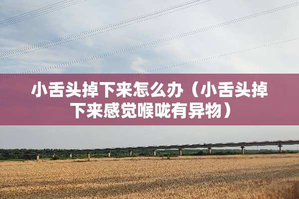 小舌头掉下来怎么办（小舌头掉下来感觉喉咙有异物）
