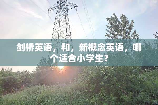 剑桥英语，和，新概念英语，哪个适合小学生？