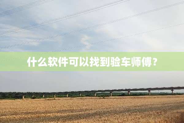 什么软件可以找到验车师傅？