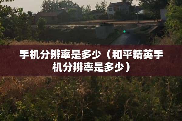 手机分辨率是多少（和平精英手机分辨率是多少）