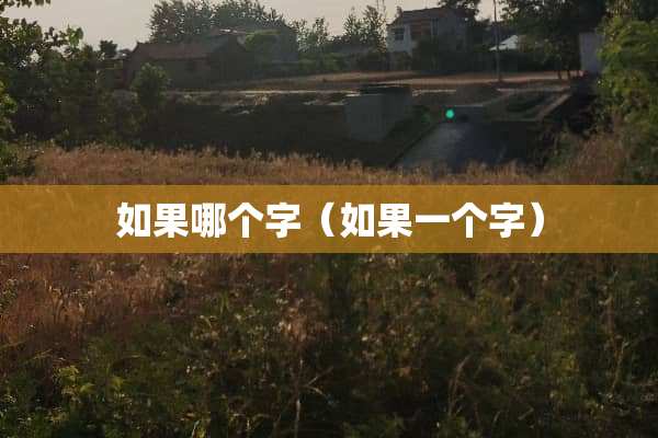 如果哪个字（如果一个字）