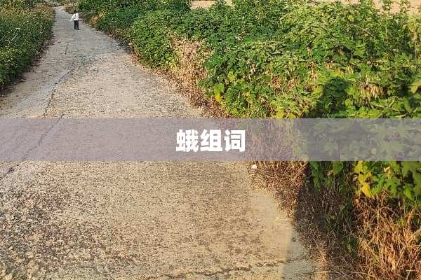 蛾组词