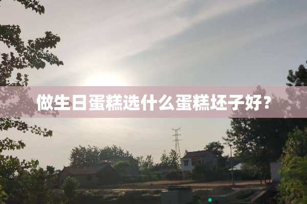 做生日蛋糕选什么蛋糕坯子好？